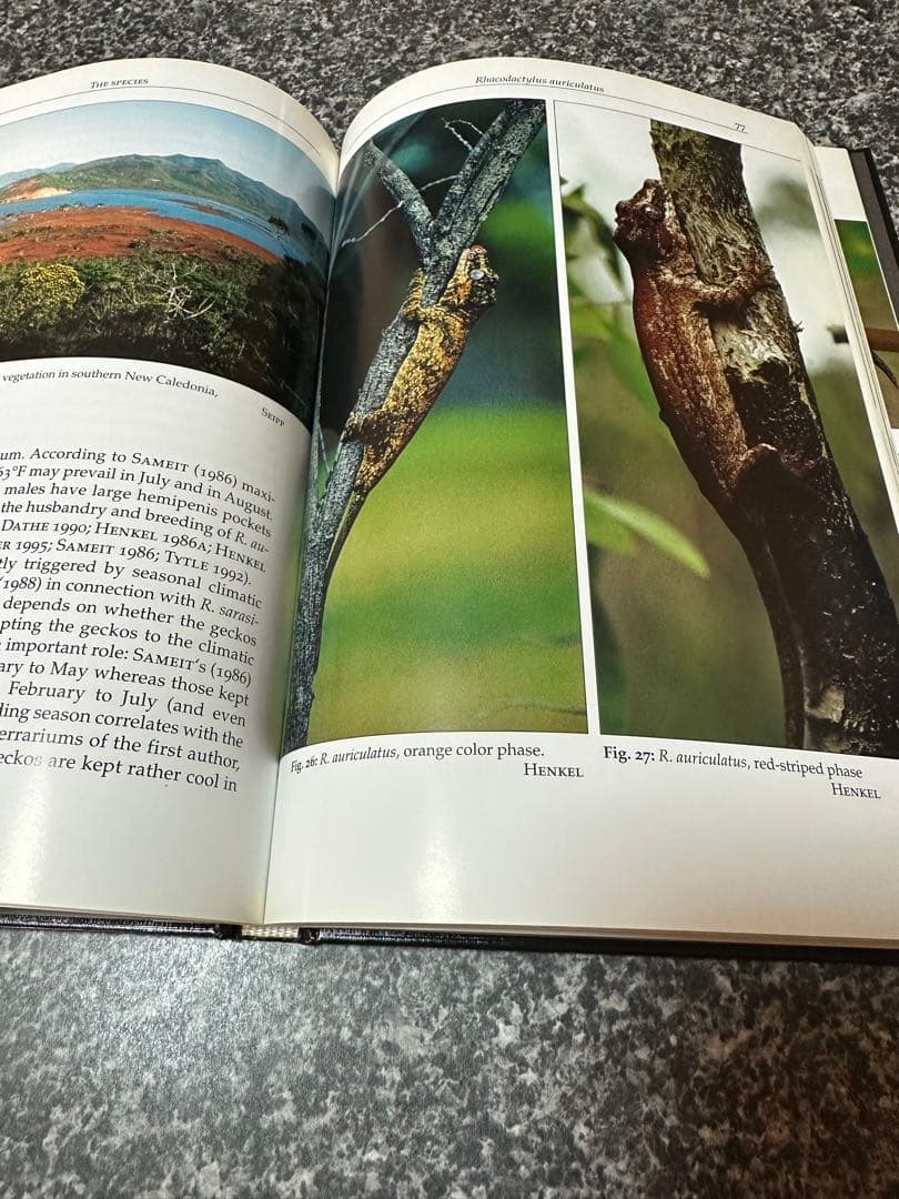 Rhacodactylus ミカドヤモリ　洋書12/15迄の限定値下価格！