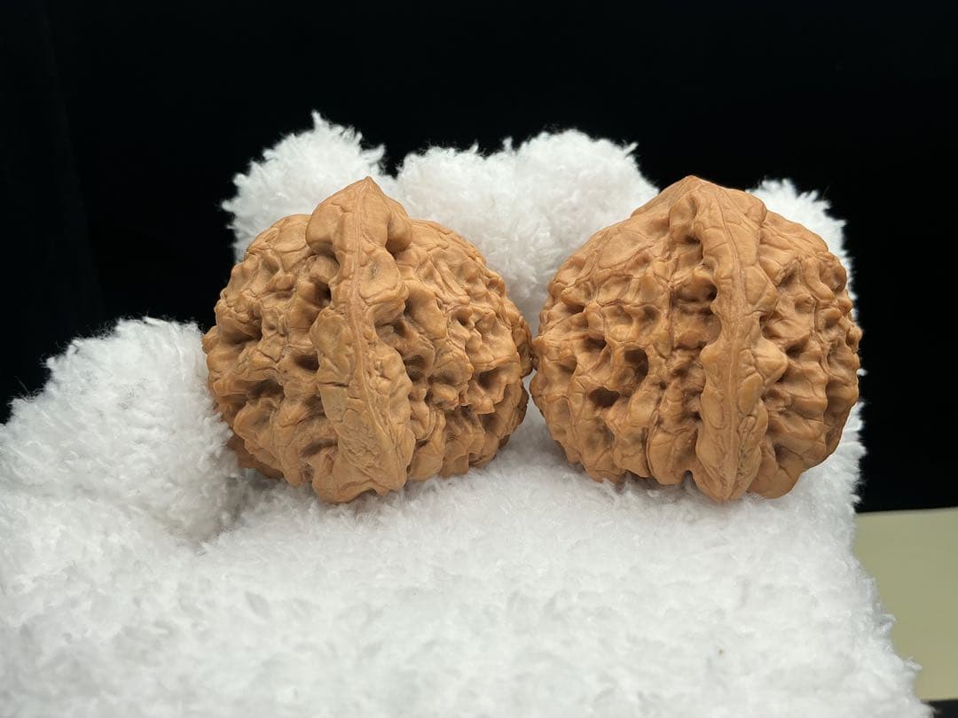 文玩堂：「龍鼎獅子頭 卒業級」51mm 最終価格