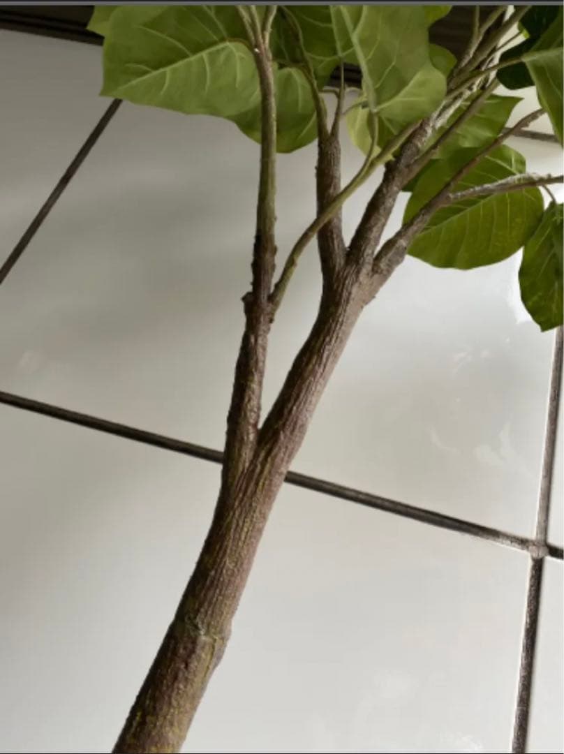 光触媒　人工観葉植物　ウォールグリーン　フェイクグリーン　ウンベラータ200@