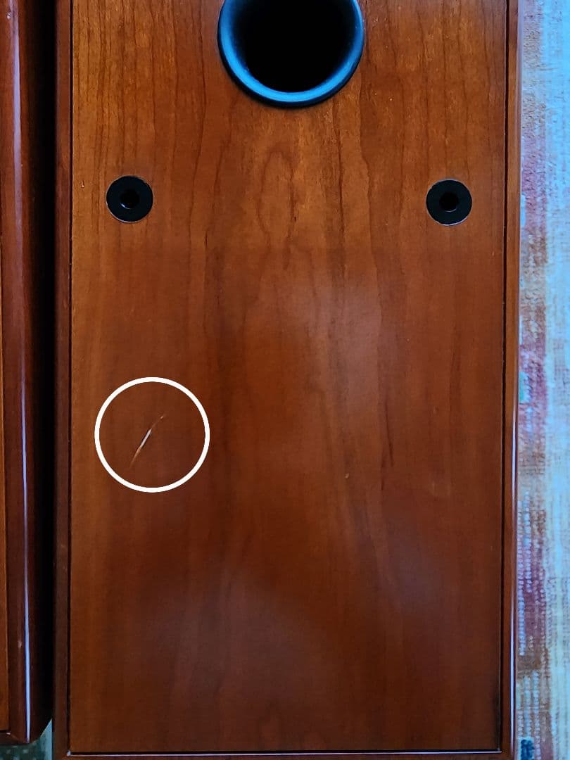 Dali  Tower タワースピーカー