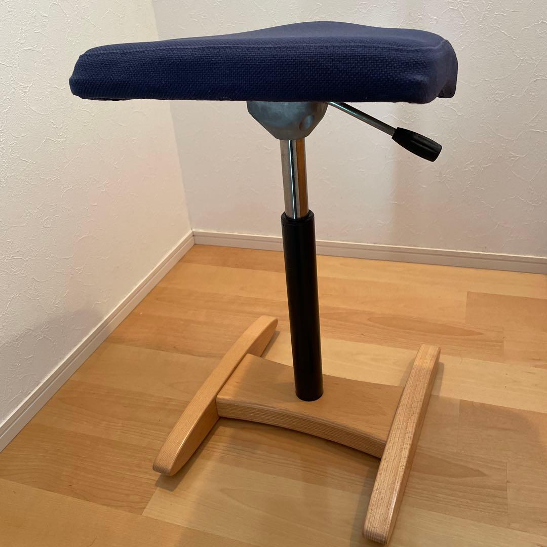 Balans Synergy バランスシナジー　スクエアシート　専用カバー付