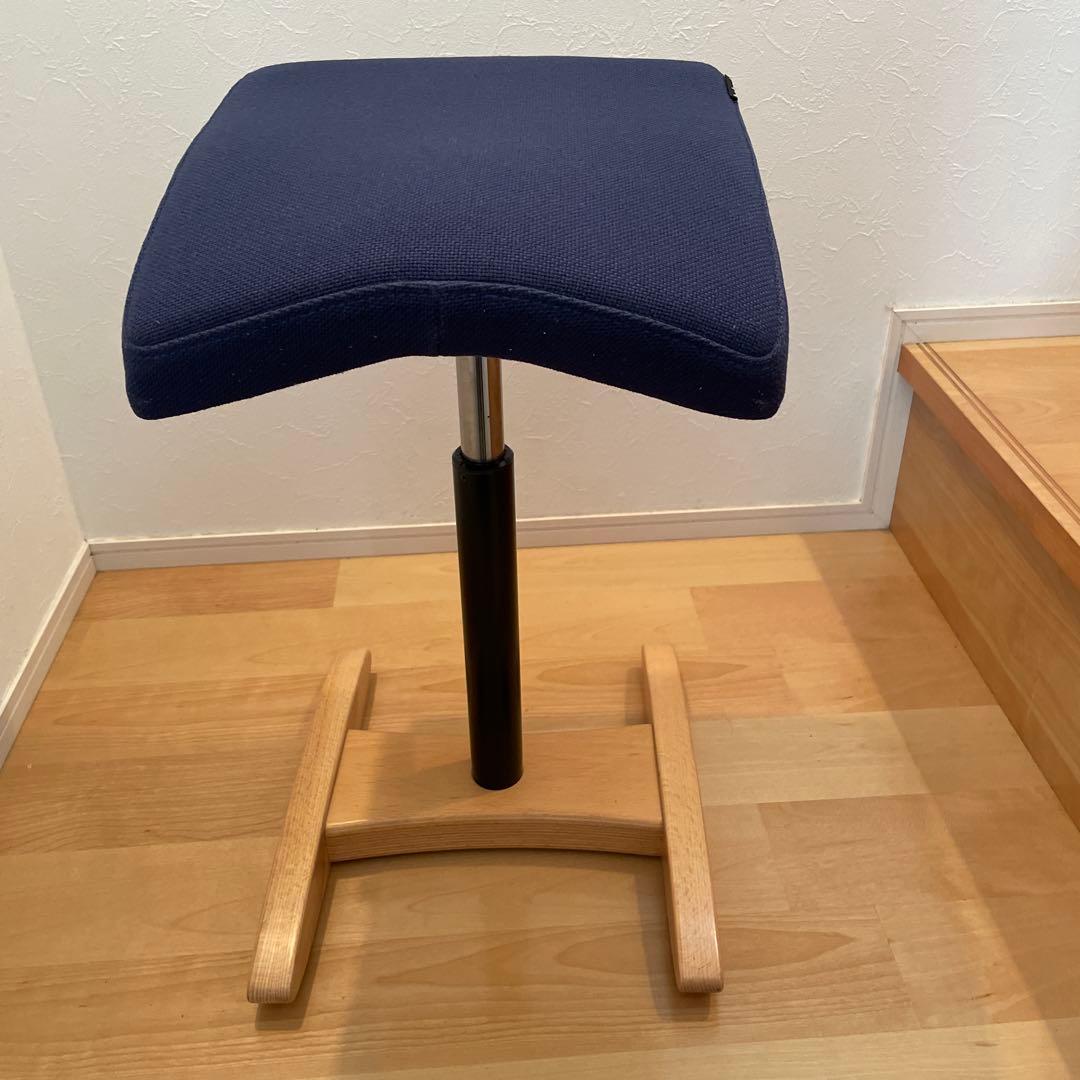 Balans Synergy バランスシナジー　スクエアシート　専用カバー付