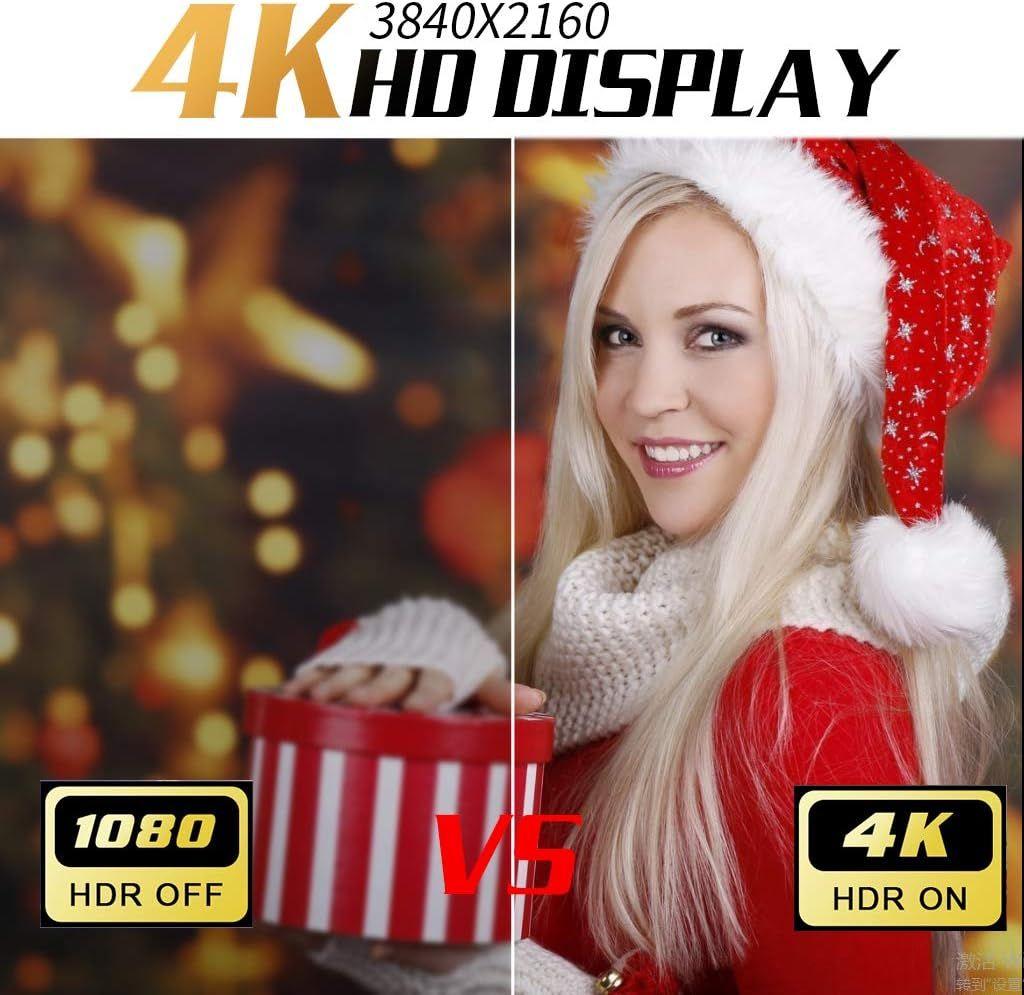 ら*ん様 14インチ 4K IPSモニター 本体 保護カバーつき