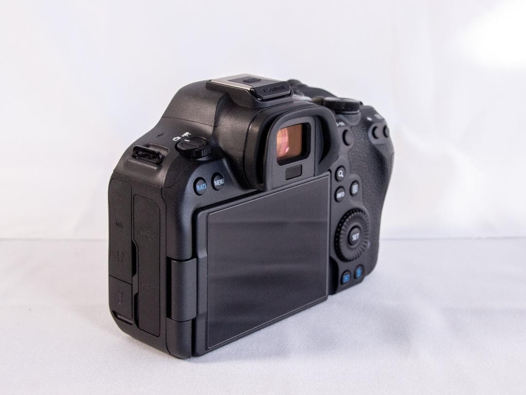 【美品】Canon EOS R6 Mark II｜おまけ多数