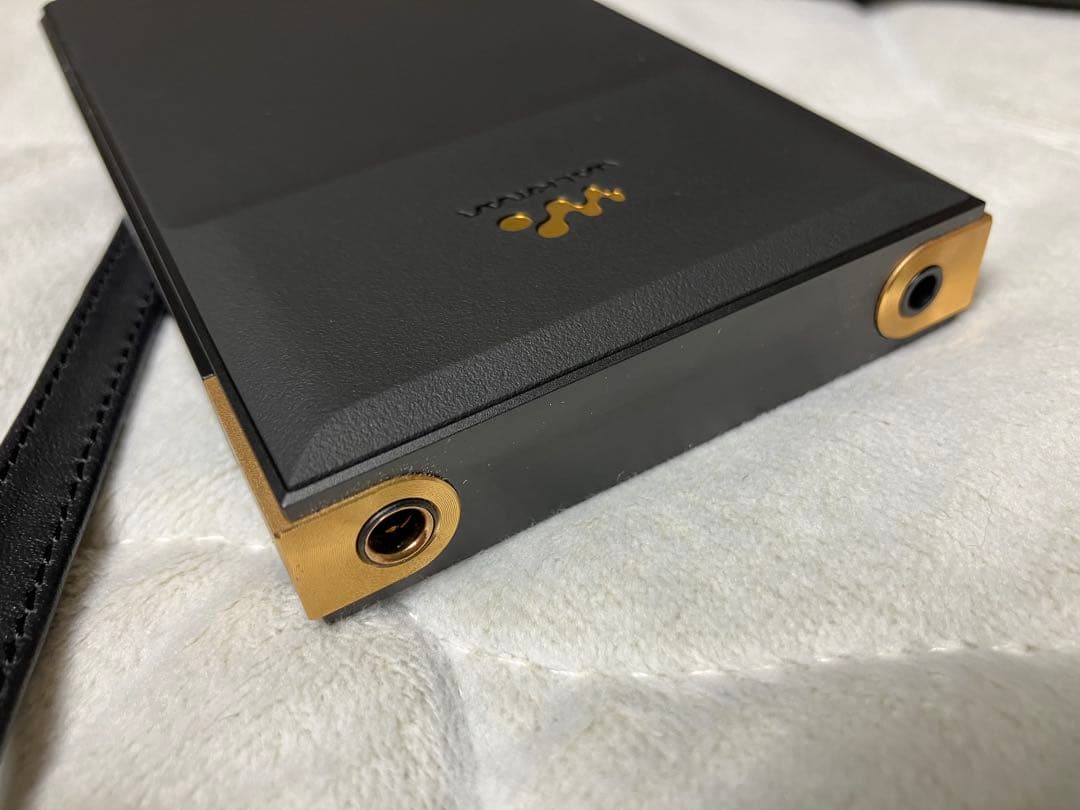 SONY ソニー ウォークマン NW-ZX707 純正レザーケース付