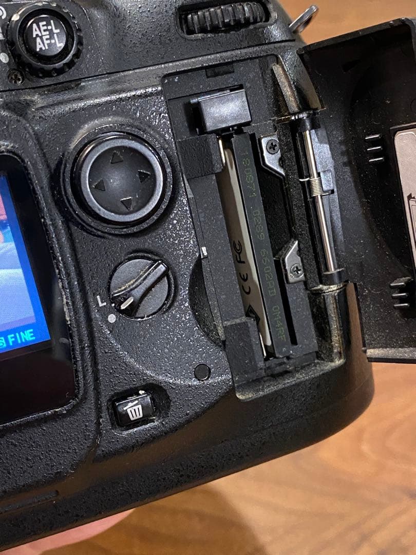 Nikon D100 デジタル一眼レフ　タムロン　18-200 動作品