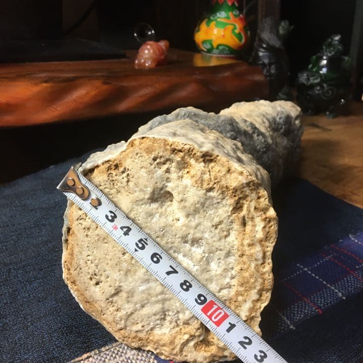 o(^▽^)o遥か昔、6000年(縄文時代)物の石筍(鍾乳石)の芸術品