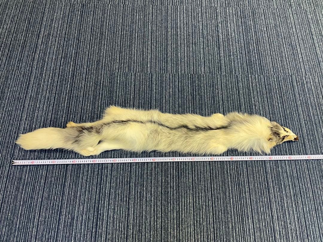 なのちゃん専用　フォックス　狐　原皮