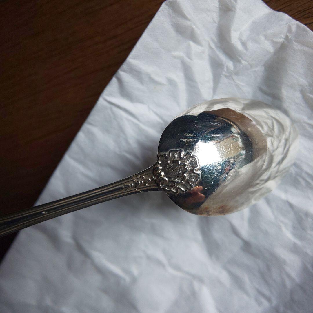 ピュイフォルカ スプーン