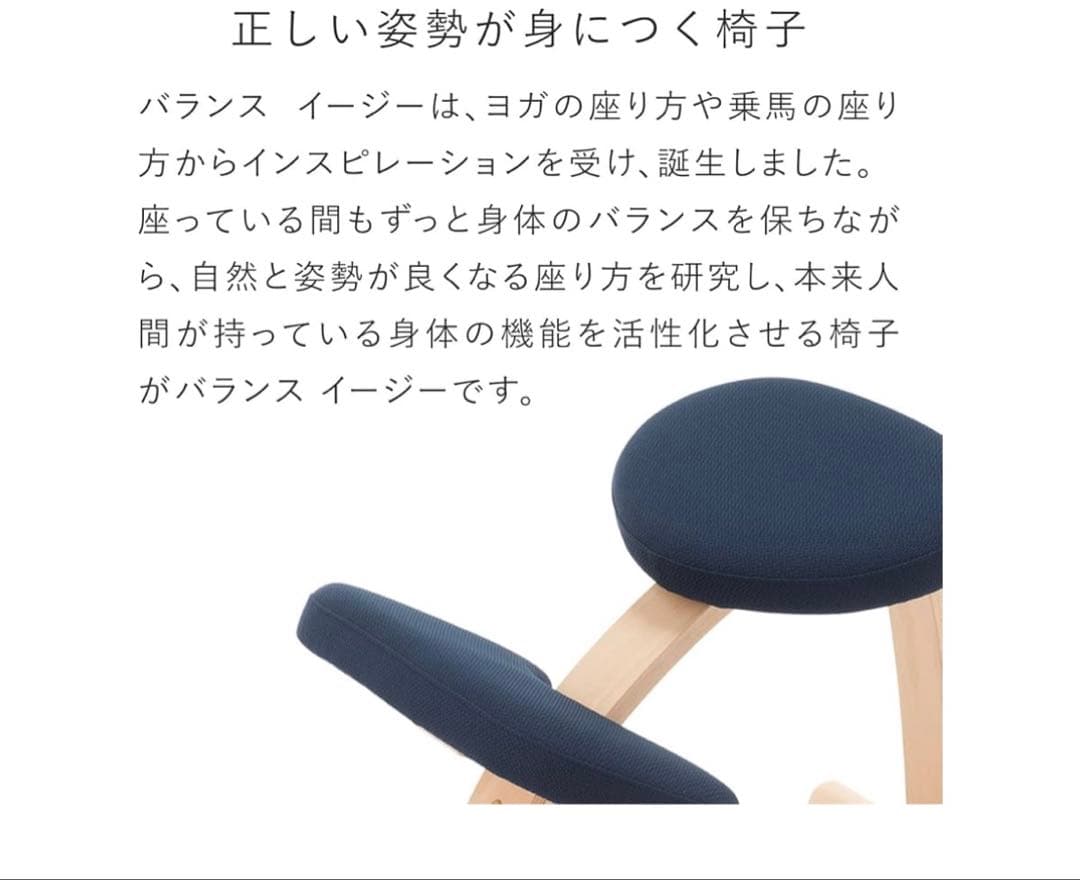 Balance Easy バランスイージー ネイビー