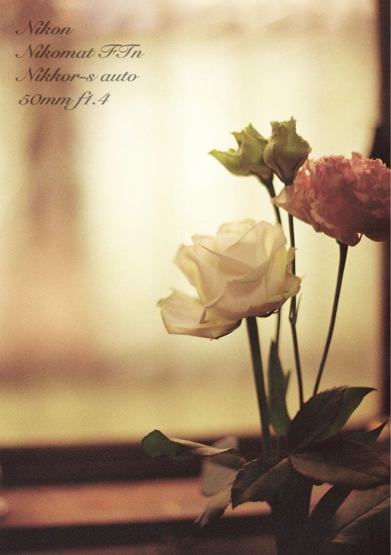 Nikon FTN＊nikkor 50mm f1.4★完動品＊美品＊初期保証