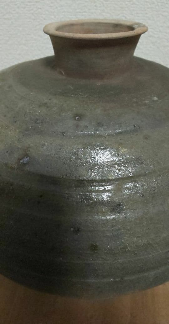 樺澤 健治 南蛮扁壺