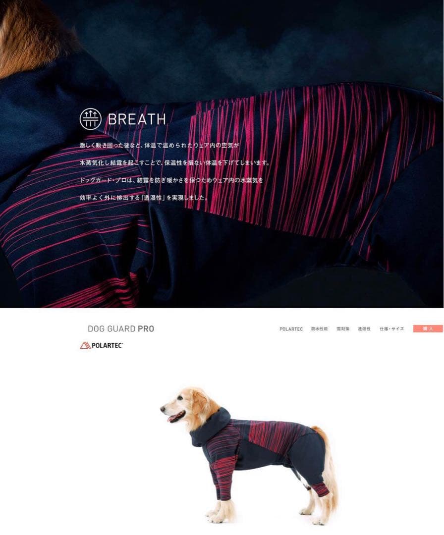 ONO　アルファアイコン　3点セット