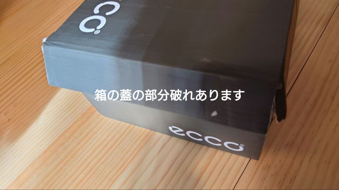 シューズ(男性用) Ecco Biom C4 Boa System Golf shoes26.5cm