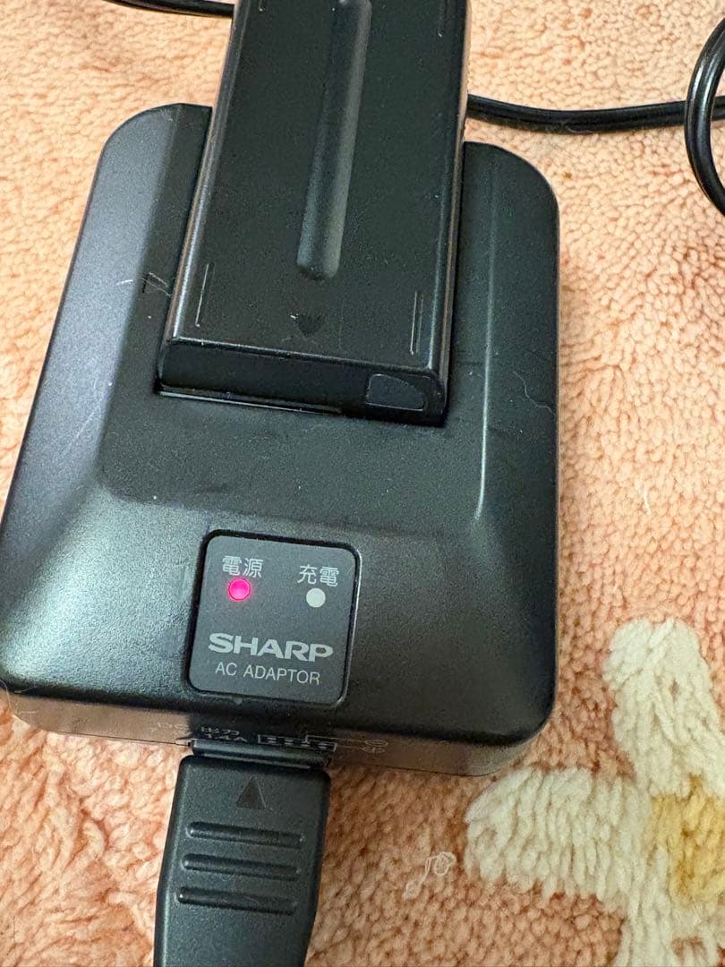 SHARP シャープ VL-FD1 液晶デジタルビューカム ビデオ　バッグ有