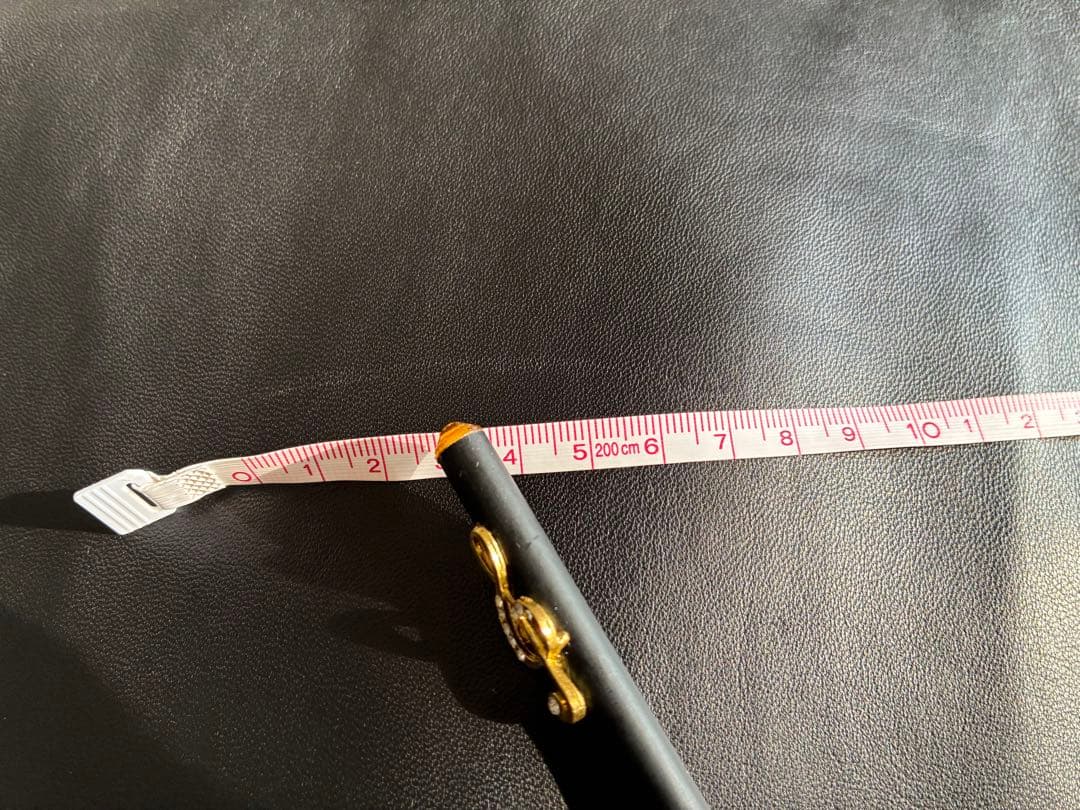 レザージャケット/マックスマーラ /ブラック/新品未使用/ライダーズジャケット