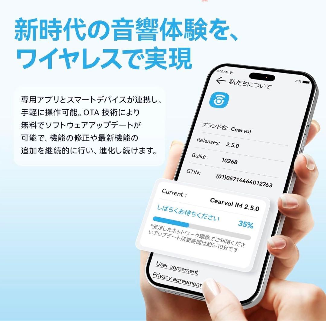 集音器 Bluetooth 高齢者向け ワイヤレスイヤホン 高速充電 通話 音楽