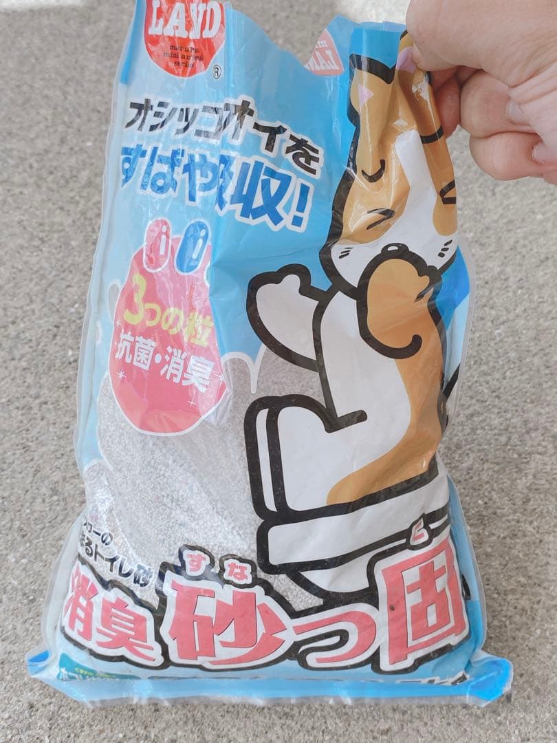 ハムスター　買い始めセット(埼玉県、直接渡しのみ)