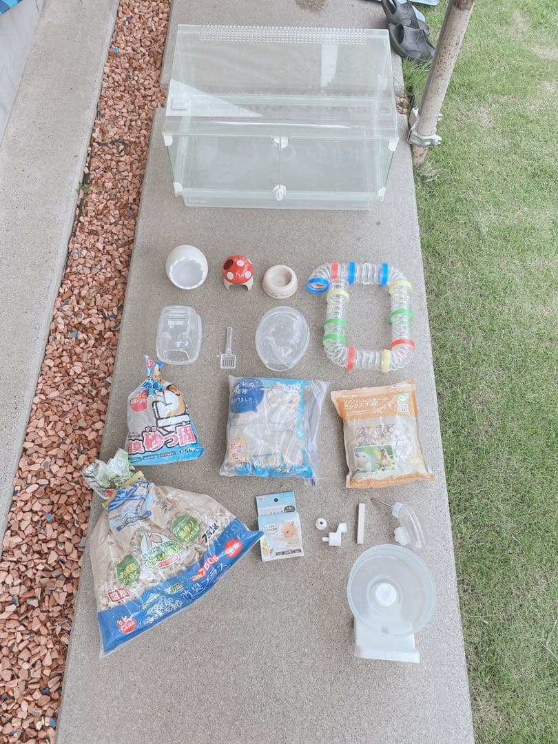 ハムスター　買い始めセット(埼玉県、直接渡しのみ)