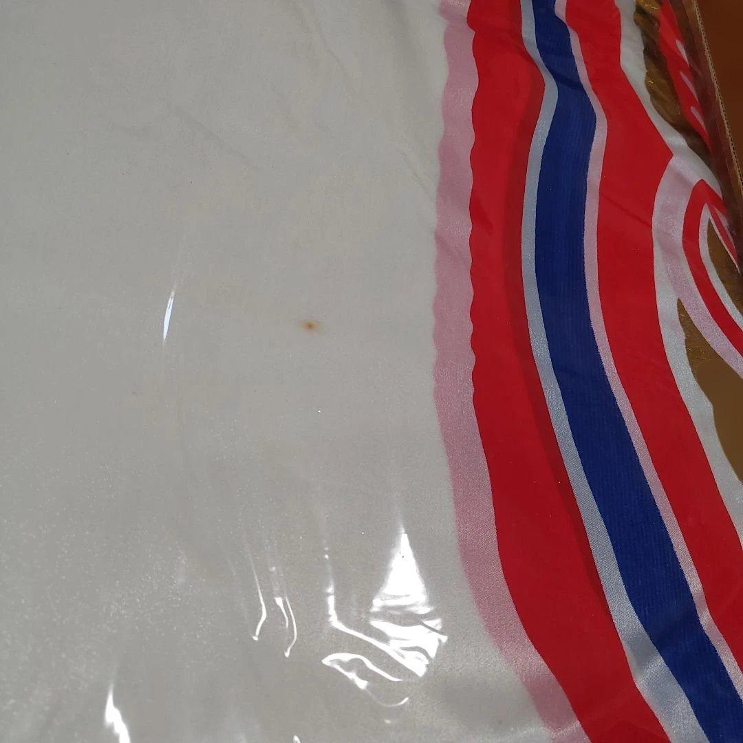 鯉のぼり　きらきら　金箔　赤8m