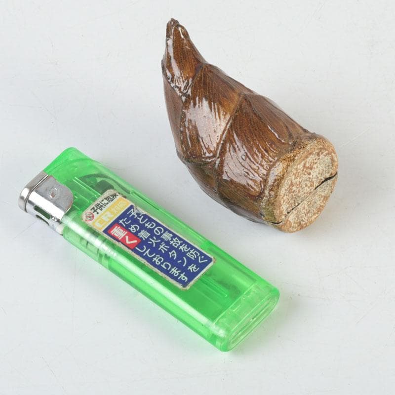 茶道具　輪島塗　塗師　川岸英之作　筍香合　共箱　V　9814