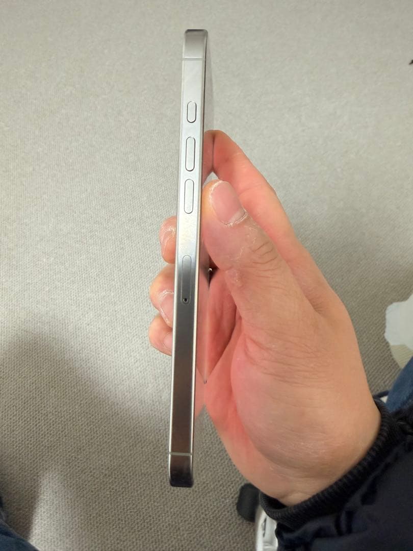 Apple iPhone 16 Pro Max 512GB シルバー