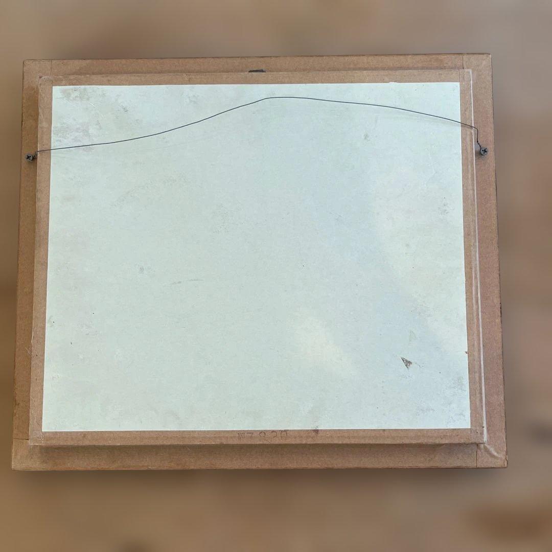 マレーシア　剥製ヴィンテージマレーオオニフシ　標本