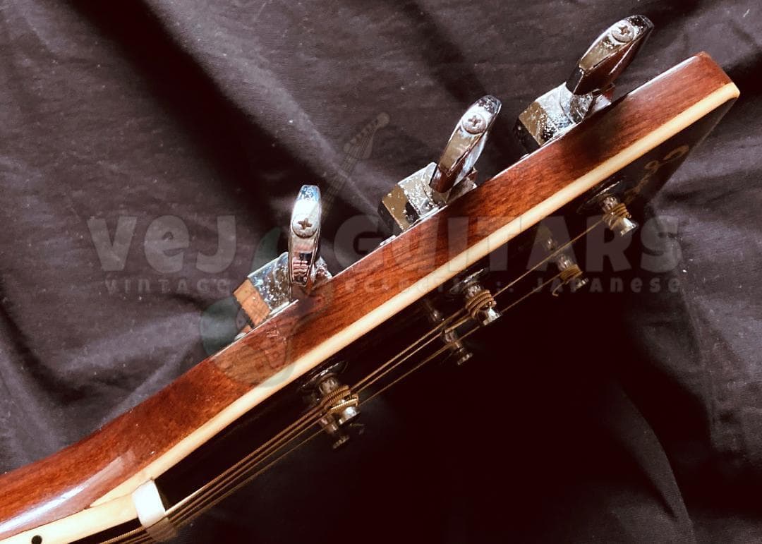 ギター TREE of LIFE* JAGARD TERADA MT-400P 1974