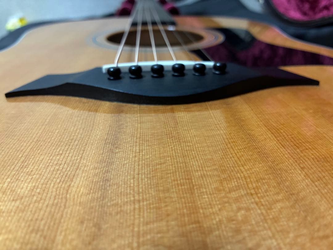 ギター Taylor317e