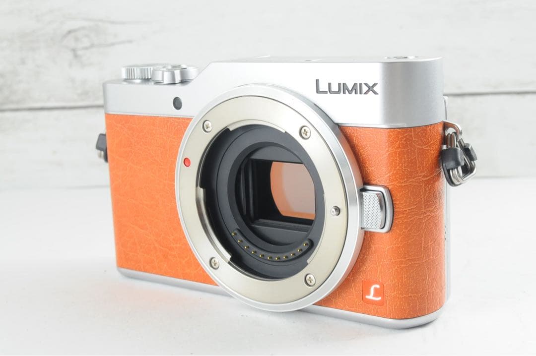 ❤️シャッター数わずか131枚❤️Wi-Fi &自撮り❤️LUMIX GF9