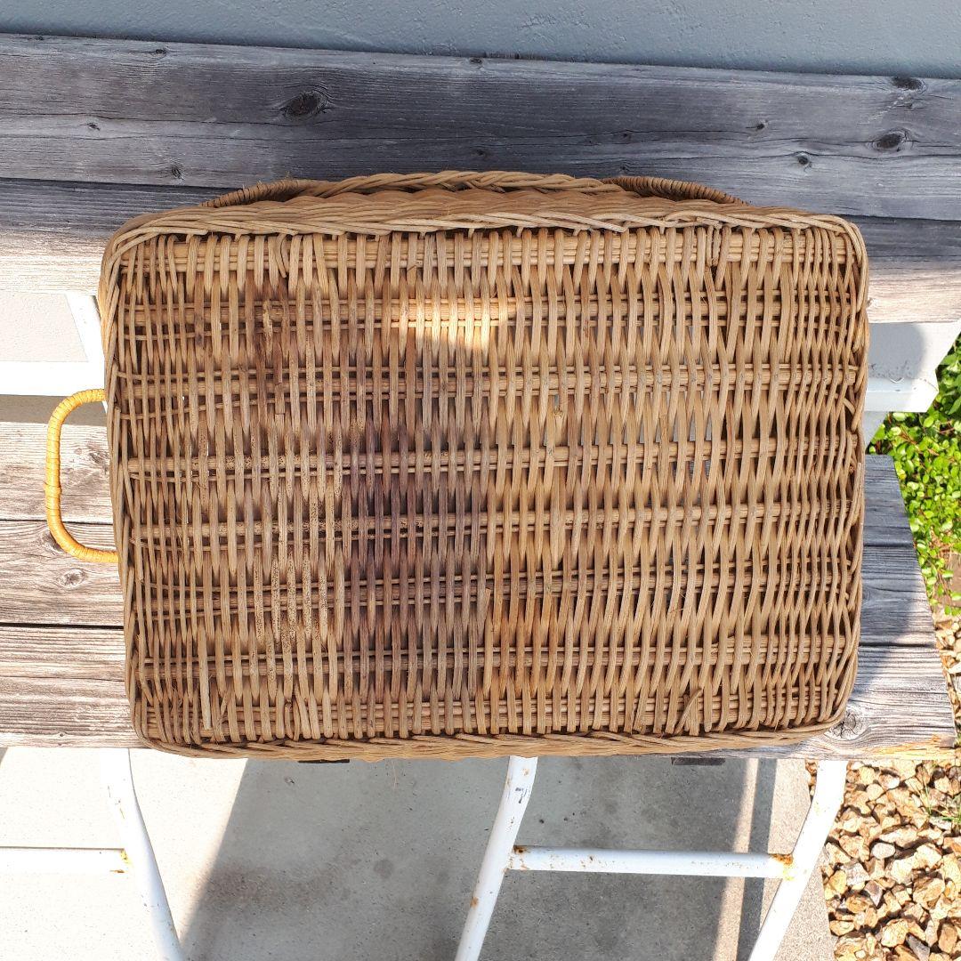 さとちゃん／ラタン 大きいかご 昭和レトロ 犬 籠 自然素材 バスケット