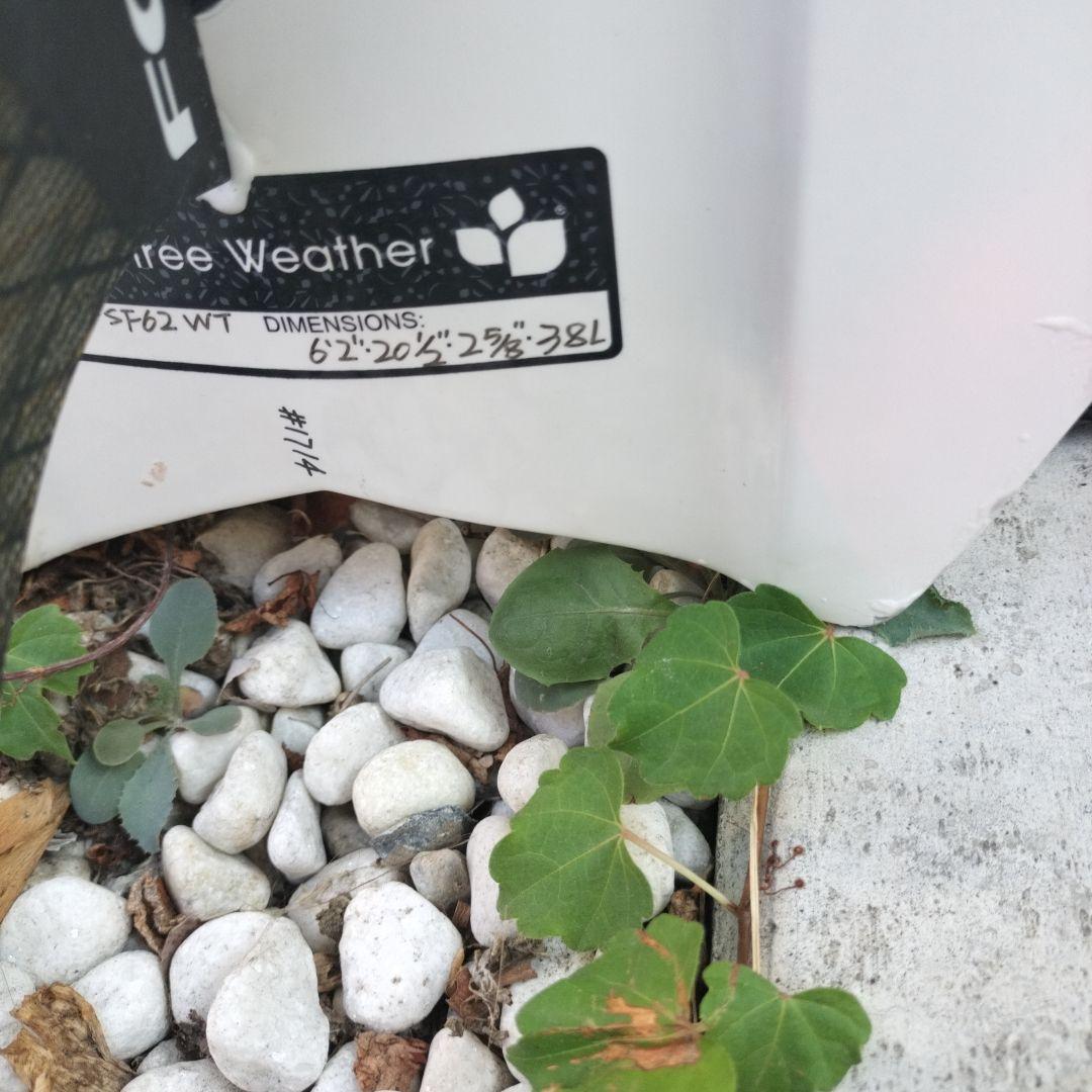 スリーウェザー Bamboo Flex ショートボード 6.2 38㍑