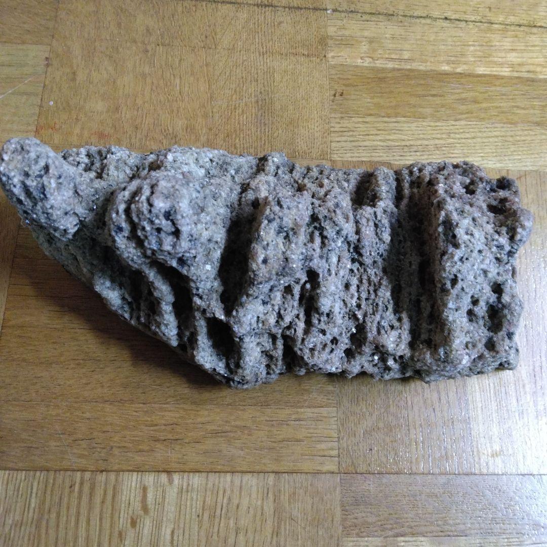 希少品　南極の石◇南極の砂付