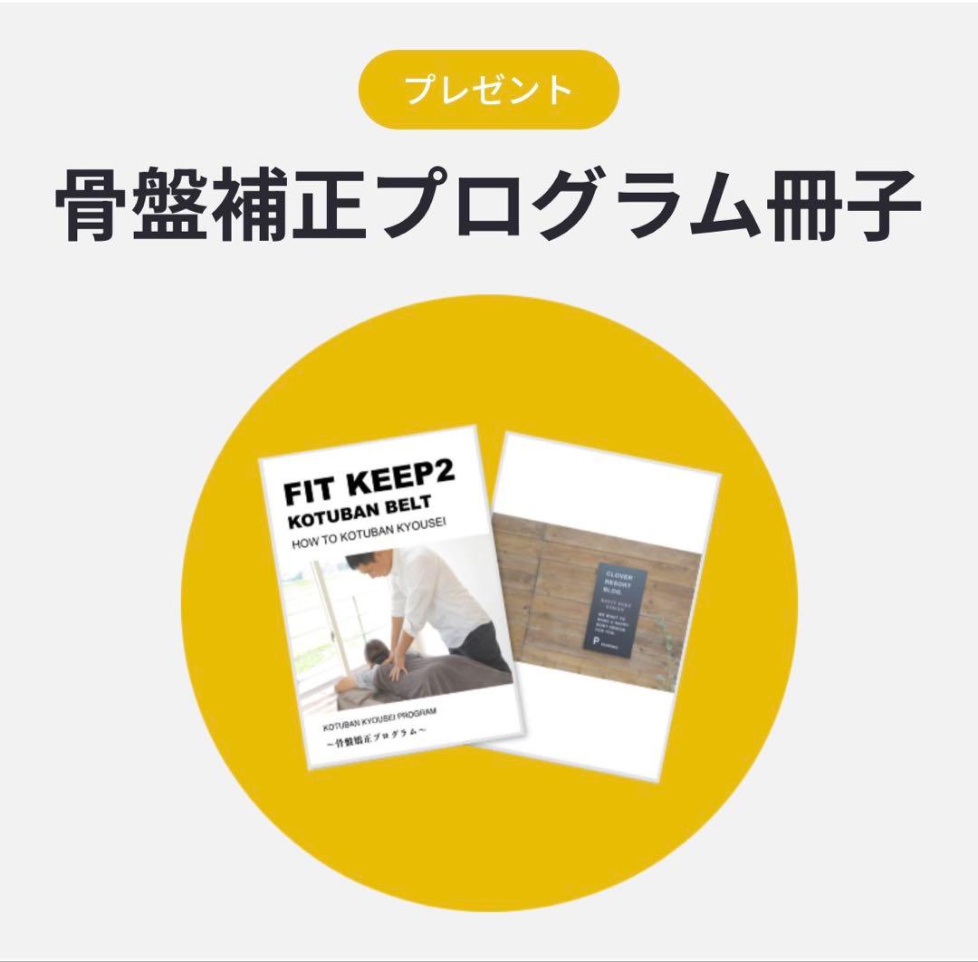 【美品】FIT KEEP2 Lサイズ 2025年2月購入