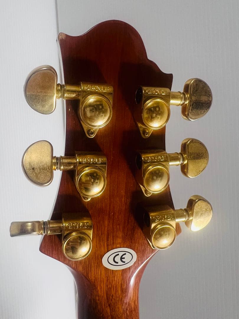 希少 GREG BENNETT OM-15CE / LH レフティ アコギ