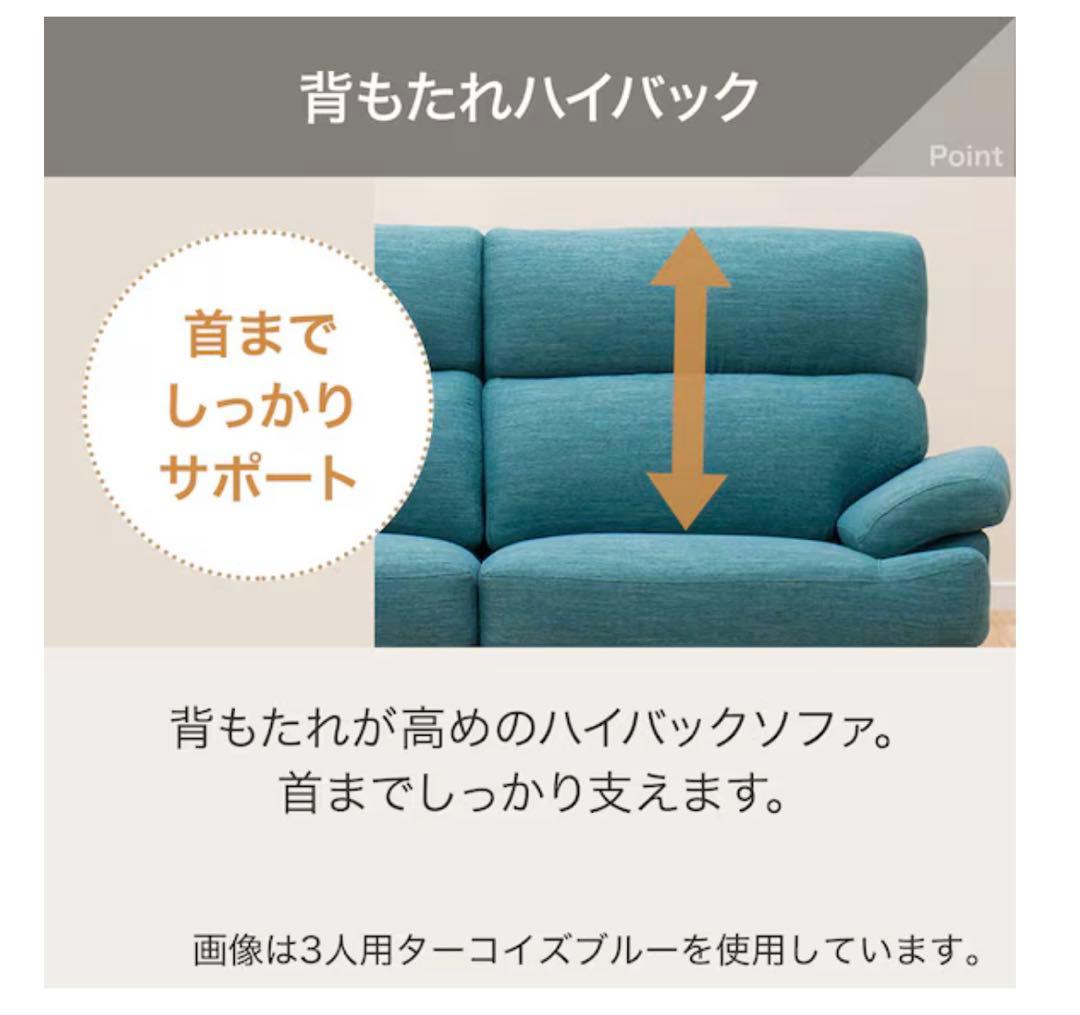 ニトリ 3人掛けソファ NポケットA13 DR-LBL & 足置き