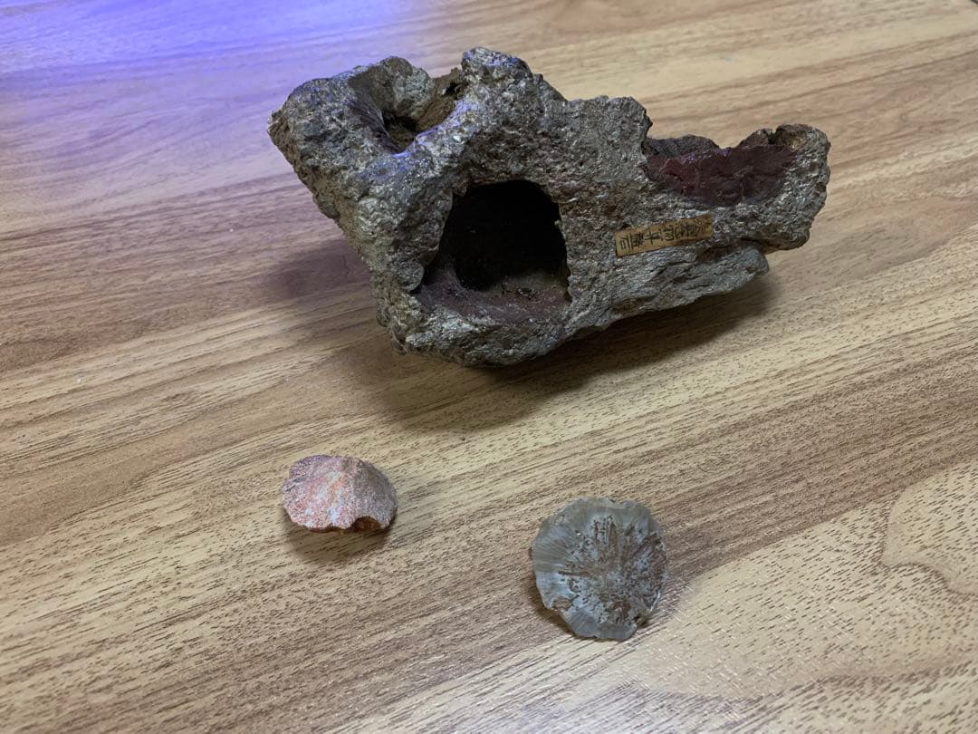 天然石 算盤玉石2個　台座付き