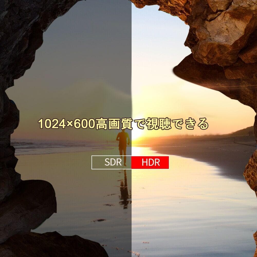 12.6型 ポータブルdvdプレーヤー Hi-Fiスピーカー リージョンフリー
