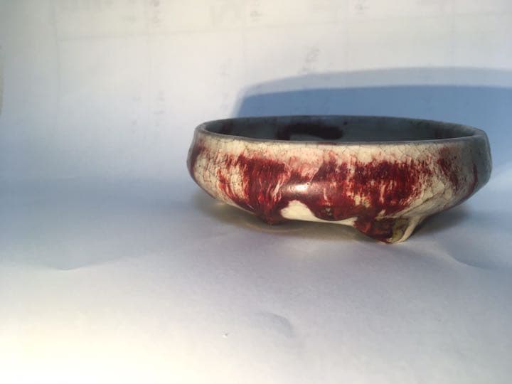 「菊池春陽」盆栽鉢