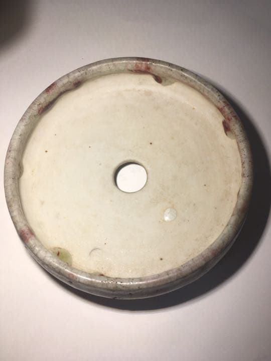 「菊池春陽」盆栽鉢