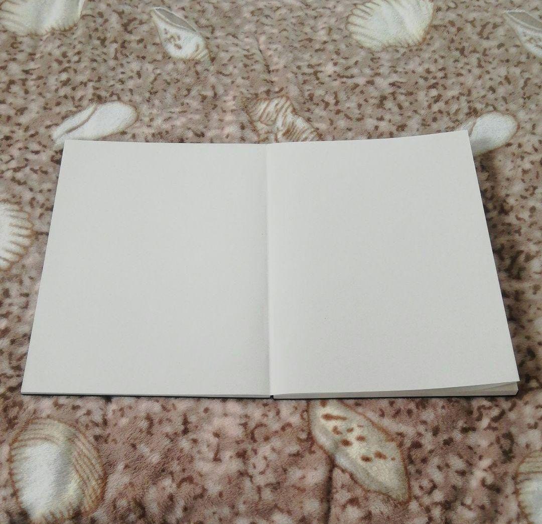 (大)旧蔵した書道、水墨画用1980年代栄宝斎販売した紅星画仙紙最高級折本集画帳