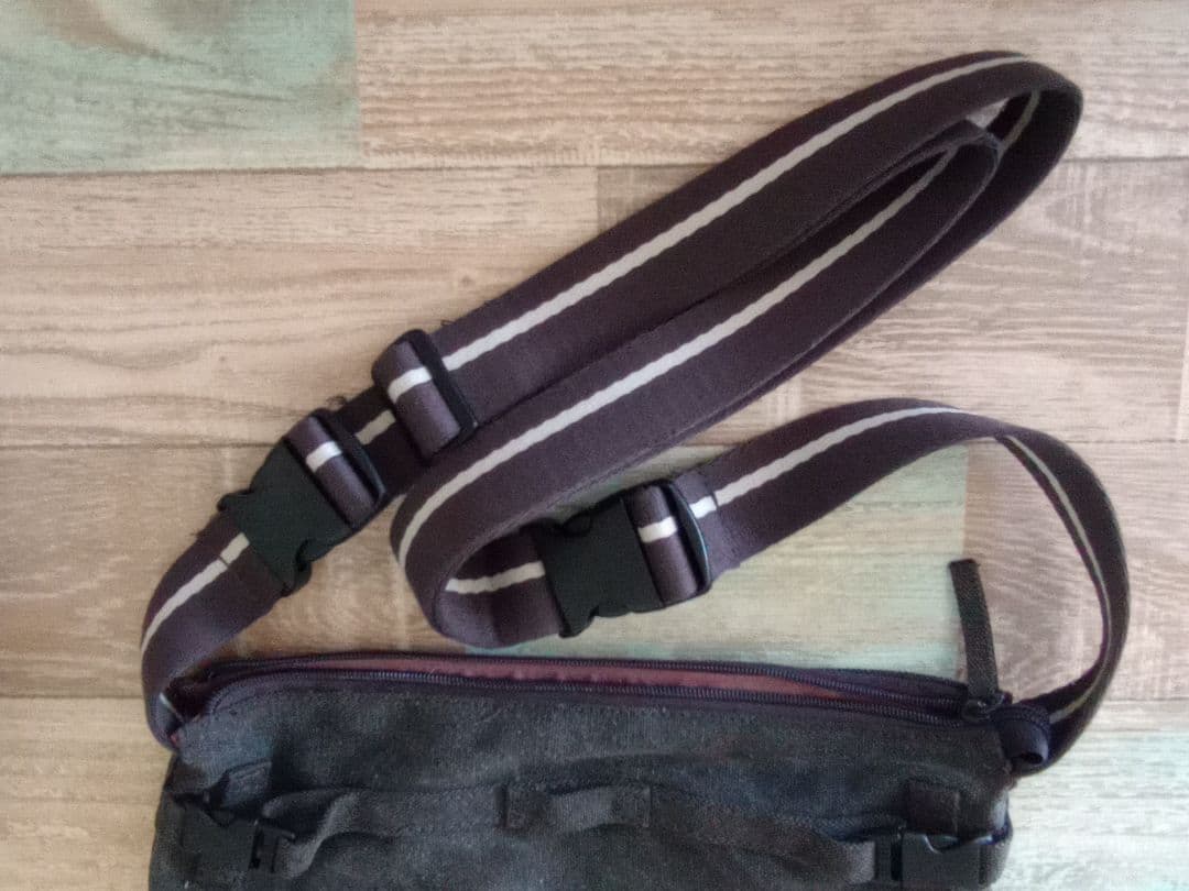 ✨最終値下げ✨レアなロモグラフィー　カメラバッグ