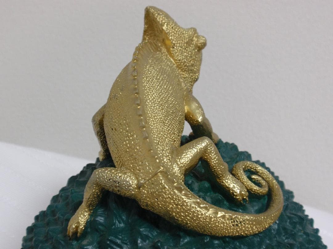 Colmore カメレオン デコボックス グリーン