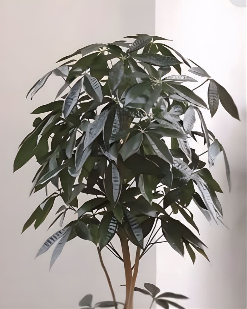 光触媒　人工観葉植物　ウォールグリーン　フェイクグリーン　デザインパキラ1.6m