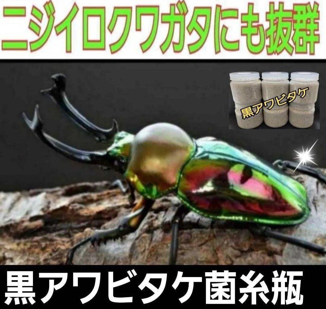 ニジイロクワガタにお薦め！黒アワビタケ菌糸瓶【８本】オオクワ、ヒラタ、ノコギリに