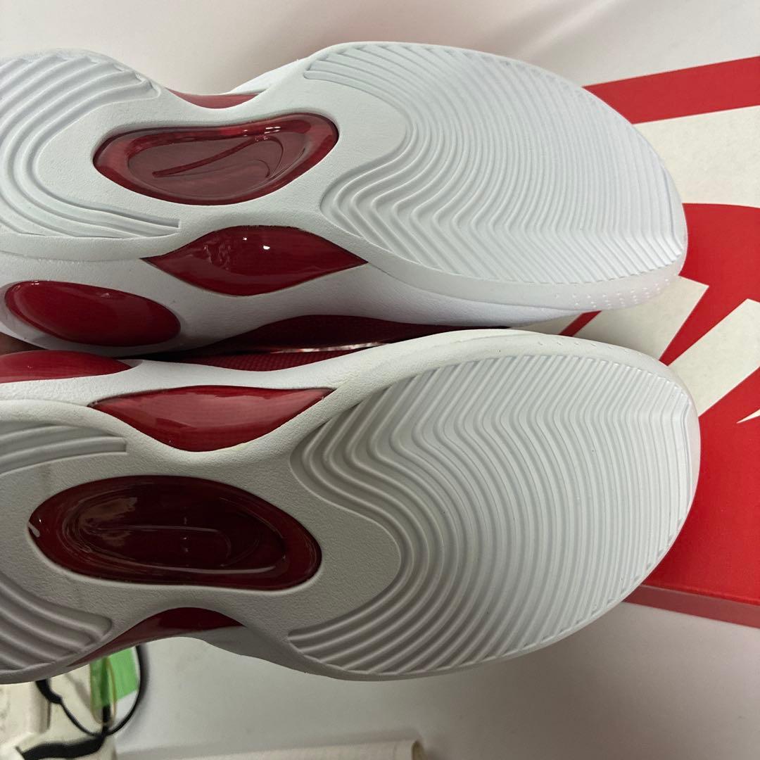 ◾️必見◾️ NIKE エアズームフライト95 未使用