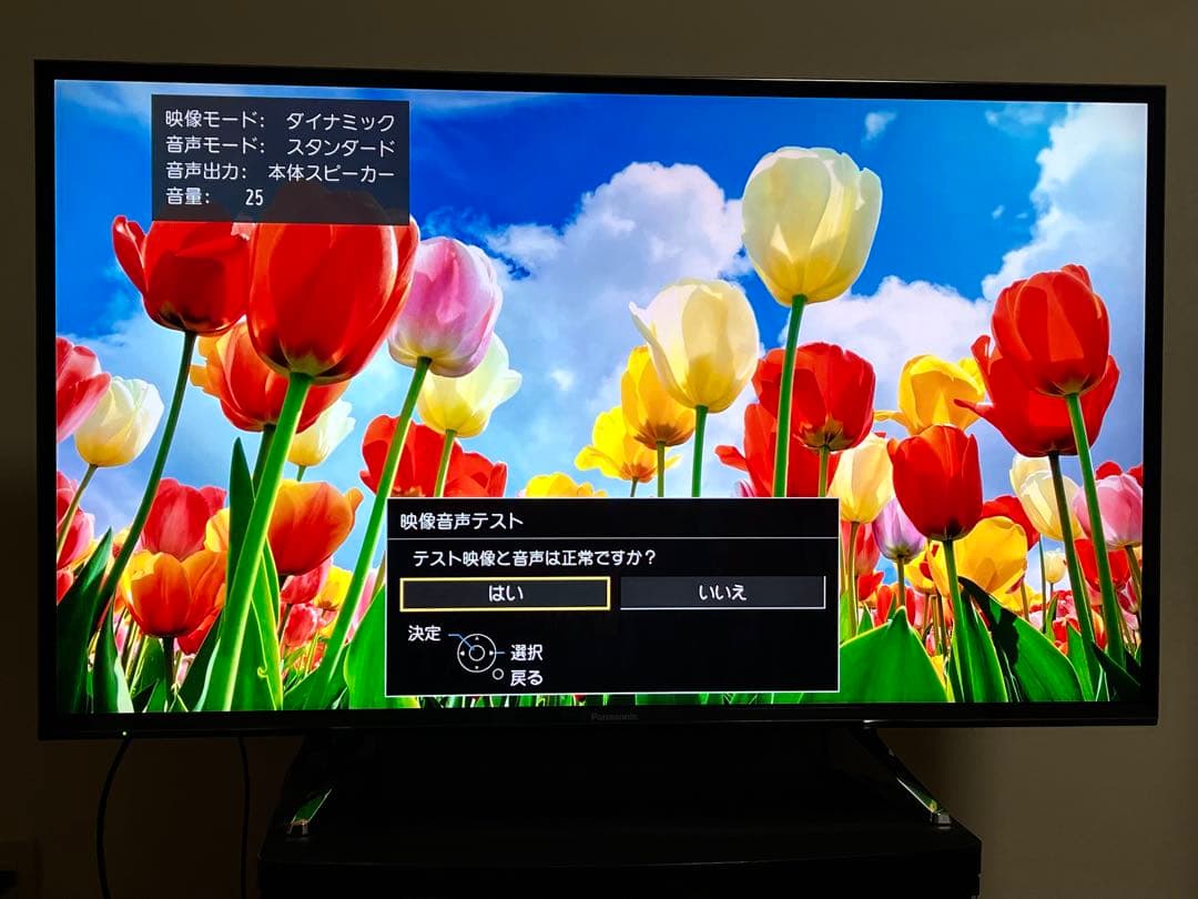 Mizue。VIERA ビエラ　43インチ　TH-43EX750