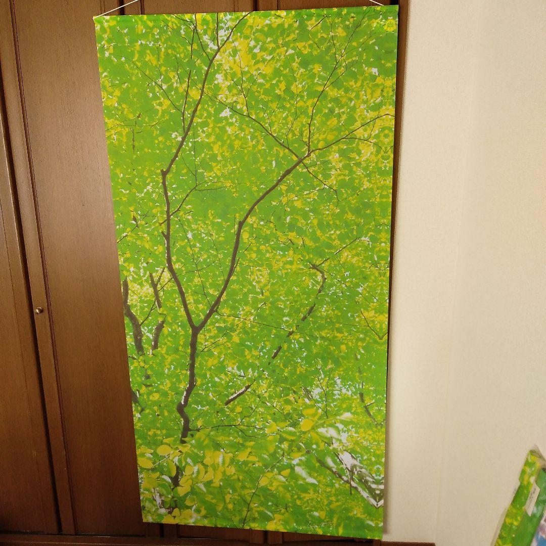 ディスプレイ用背景シート 6本セット 防炎製品 約縦179cm横90cm