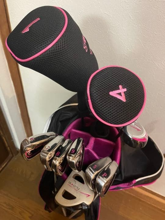 レディースゴルフグラブセット　ワールドイーグル