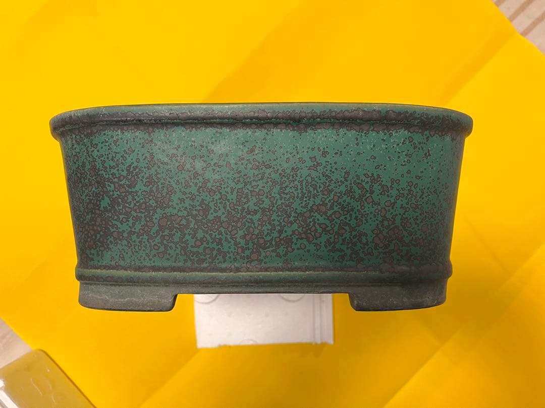 鴻陽鉢　和鉢　長方鉢　盆栽鉢　相羽鴻陽作